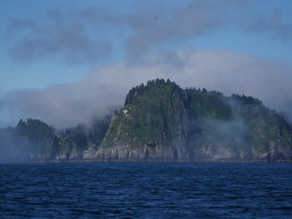 Foggy island with green cliffs and trees, surrounded by calm blue water.