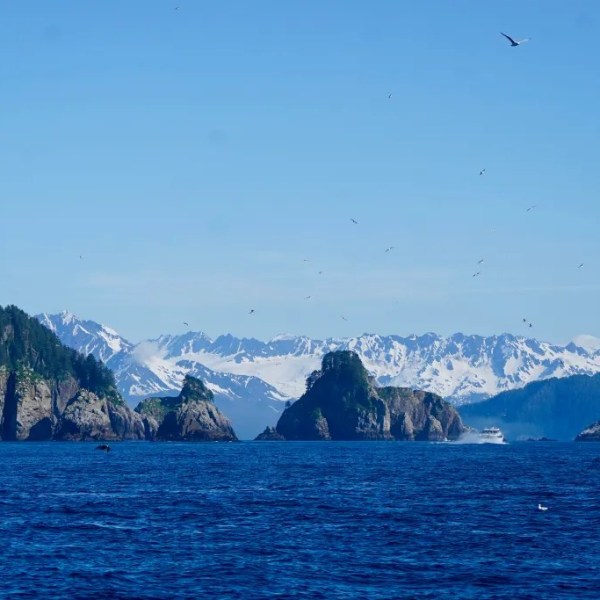 Ocean with forested islands and snow-capped mountains in the background under a clear blue sky.