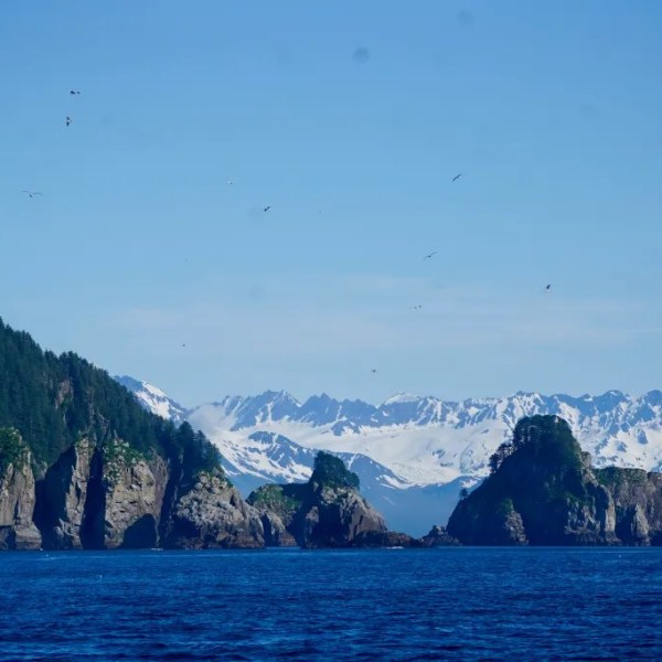 Rocky islands with vegetation and distant snow-capped mountains under a clear blue sky.