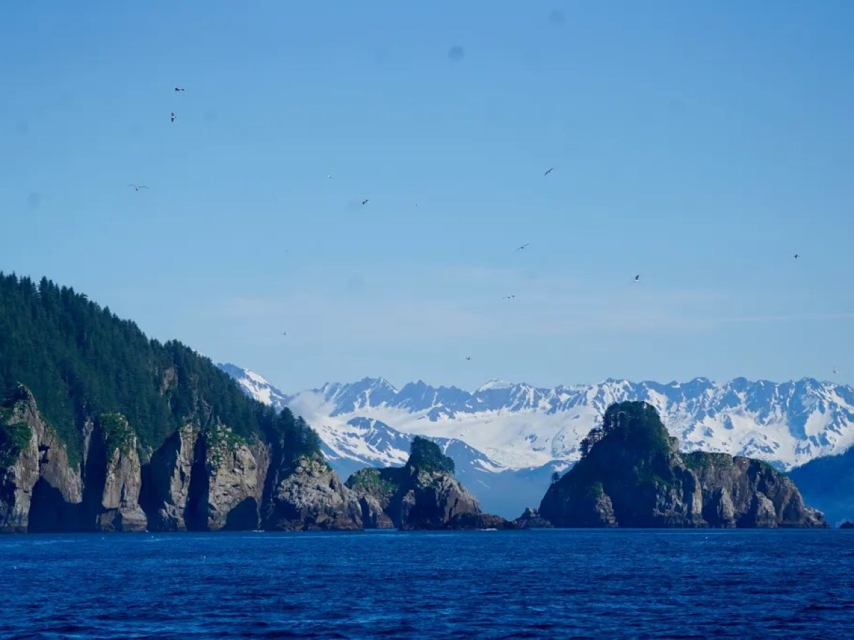 Rocky islands with trees and snow-capped mountains in the background, under a clear blue sky.