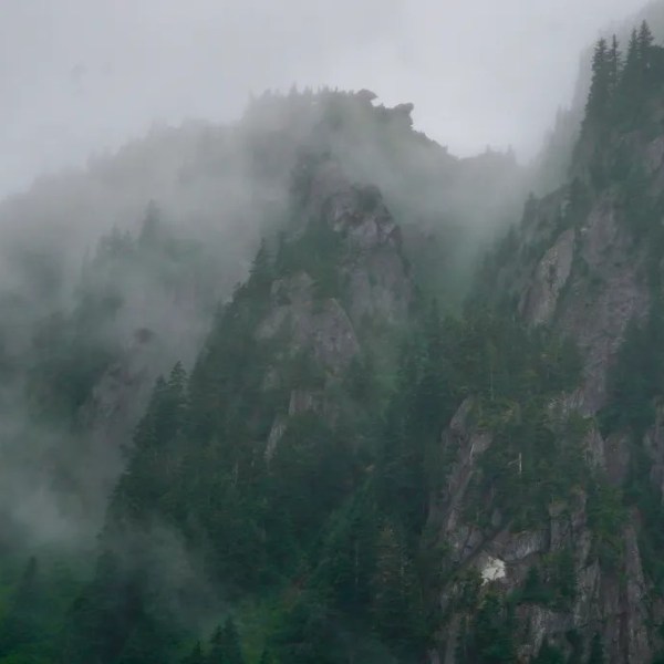 Misty mountain peaks with scattered evergreen trees obscured by fog.