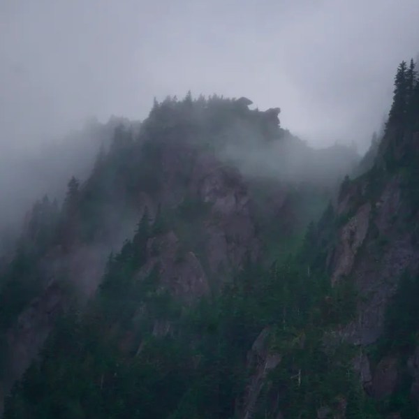 Misty forested mountains with rocky peaks shrouded in fog.
