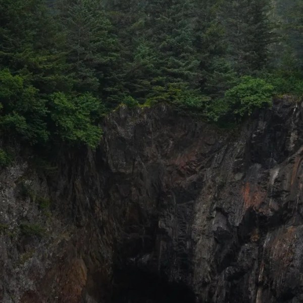 Rocky cliff with a cave, topped with dense green pine trees.